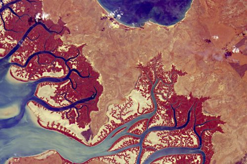 Earth Imaging; Tidal swamp ecosystem Endyalgout Island, Australia